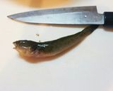 ハゼの唐揚げ作り方1写真