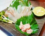 ハゼの刺身とハゼ肝の刺身作り方3写真