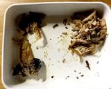 鯵の混ぜごはん☆薬味好きに作り方1写真