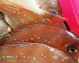 飛び散らない、簡単うろこ取り！作り方1写真