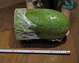 マーボとうがん?作り方1写真