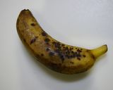 簡単！完熟バナナの肉巻きカレー風味作り方2写真