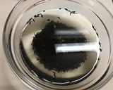 定番の和ごはん◆ひじきの煮物作り方1写真