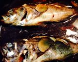 簡単な煮魚☆黒ソイの煮付け作り方5写真