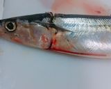 【龍愛】さんまの下処理作り方1写真