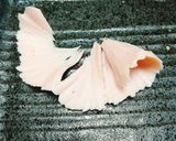 お弁当に！魚肉ソーセージでお花の飾り切り作り方1写真