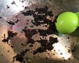 紫色こんんやく作り方3写真