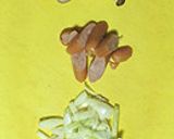 から煎りおからのマカロニグラタン作り方4写真