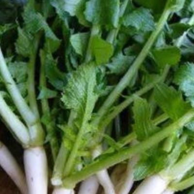 大根菜 常備菜：大根菜炒め by Kao≒Bird 【クックパッド】 簡単