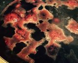 実は簡単!栗の渋皮煮◆糖質オフ作り方4写真