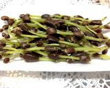 亜麻仁でヘルシー！みずのこぶのおひたし作り方1写真