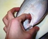 カレイの煮付け・おろし方(さばき方)作り方2写真