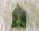 懐かしの味☆辛味噌しそ巻き作り方5写真