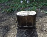 はんごうのつかいかた作り方8写真