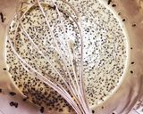 ♡ささみの胡麻フリッター♡作り方4写真