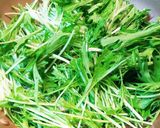 水菜と油揚げの煮浸し作り方4写真