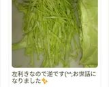 これなら簡単！キャベツの千切り作り方5写真