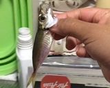 指だけで簡単☆豆アジの下処理の仕方作り方1写真