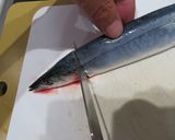 秋刀魚の腸を簡単に抜く方法作り方4写真