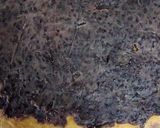 簡単きな粉消費あんパン作り方4写真