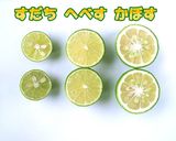 晩酌が優雅に変身☆焼酎へべす☆作り方3写真