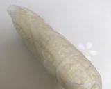 レンジで5分♪簡単茹でとうもろこし☆作り方3写真