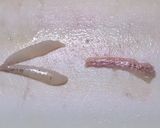 メゴチの天ぷら作り方10写真