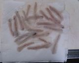 メゴチの天ぷら作り方12写真