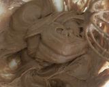 HMで簡単♪大人のモカケーキ作り方3写真