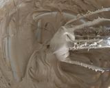 HMで簡単♪大人のモカケーキ作り方8写真