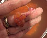 生筋子で♪♪自家製いくら作り方4写真