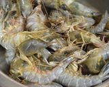 サルエビとシシトウの炒め物作り方1写真