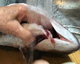 鯛のさばき方作り方5写真