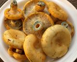 キハツダケの炊き込みご飯作り方1写真