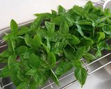 バジル風味を残す冷凍保存方法作り方1写真