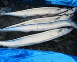 秋刀魚の味噌煮作り方1写真