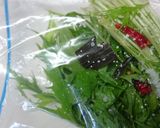簡単しゃきしゃき！水菜の浅漬け作り方2写真