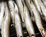 ししゃも混ぜ寿司作り方1写真