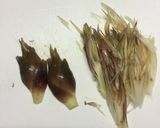麺つゆで胡瓜と竹輪の酢の物作り方2写真