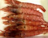赤えびの蜂蜜醤油焼きオリエンタル風作り方2写真