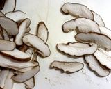 故郷奄美の鶏飯作り方6写真