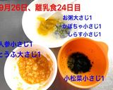 離乳食初期☆しらす作り方5写真