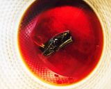 売ってるのより美味しい！イクラの醤油漬け作り方1写真