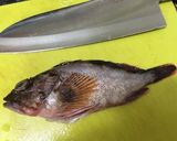 釣って来たお魚で料理＊カサゴの味噌汁＊作り方1写真