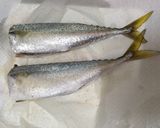 釣って来たお魚で料理＊サバの塩焼き＊作り方1写真