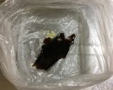 簡単！おくらの浅漬け作り方4写真