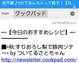 *秋:すりおろし梨で豚肉ソテー*作り方7写真
