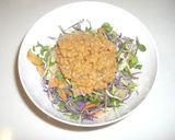 お気楽　生野菜ストック作り方11写真