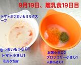 離乳食初期☆キャベツ作り方5写真