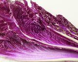 白菜とみょうがの浅漬け作り方1写真